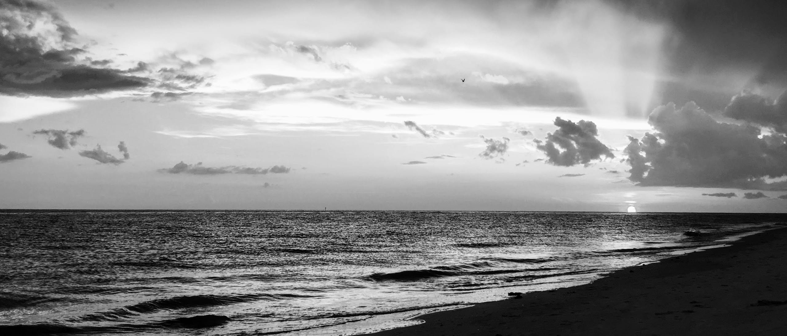 Black Ocean